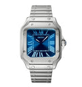 Seiko Santos | Blue