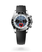 Daytona | Racer